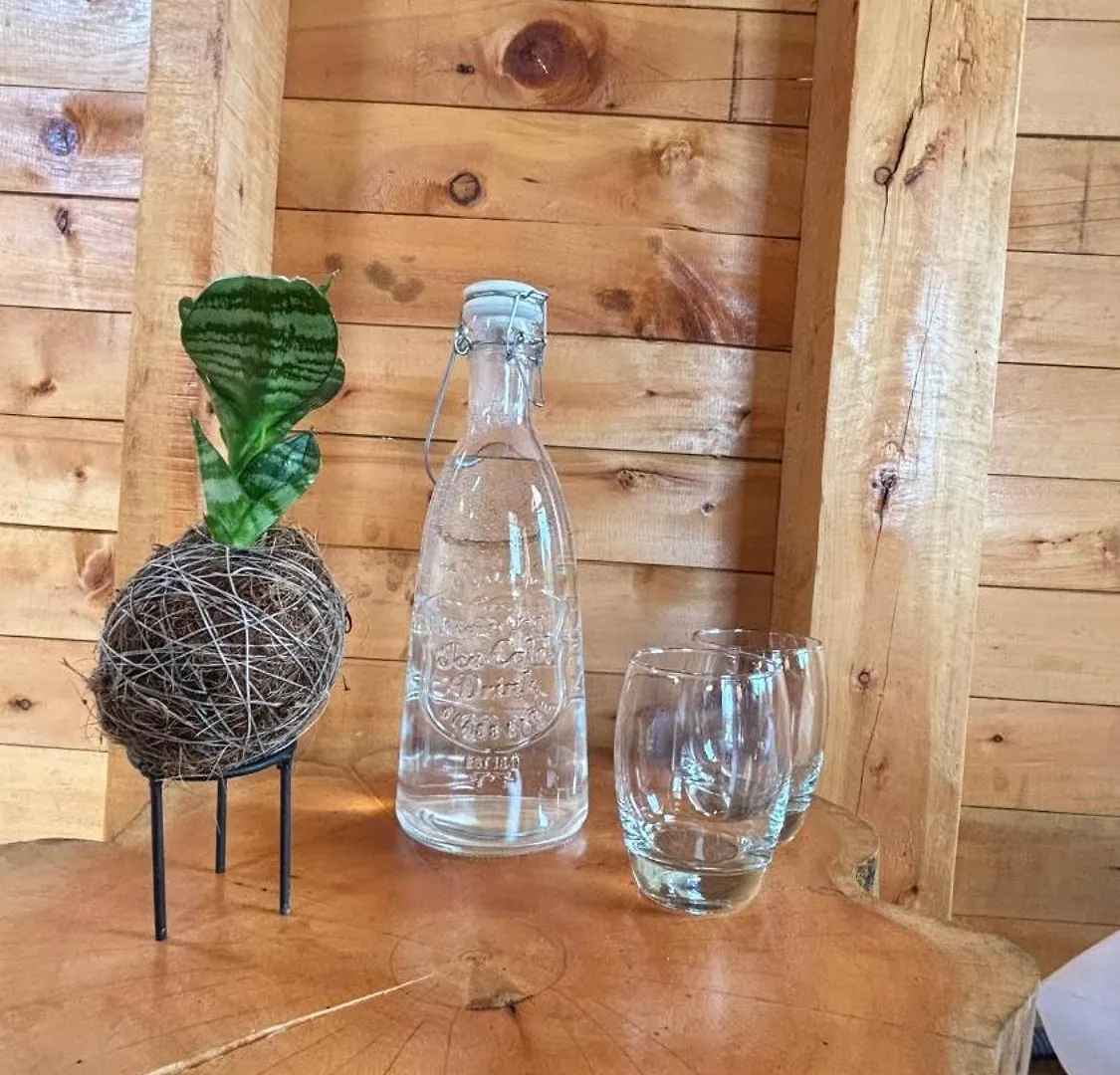 Rustico Glamping Hotel Santa Elena  Campsite